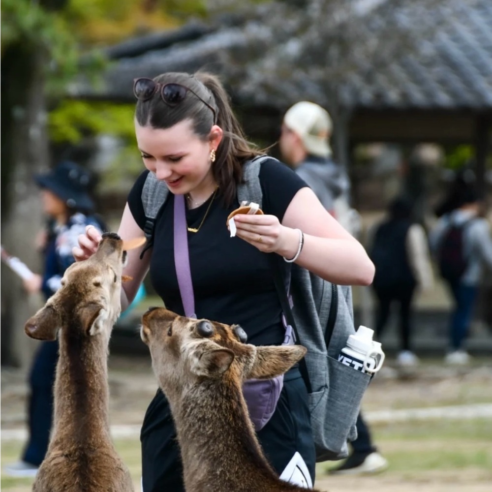 Meet your Posher, Annie
